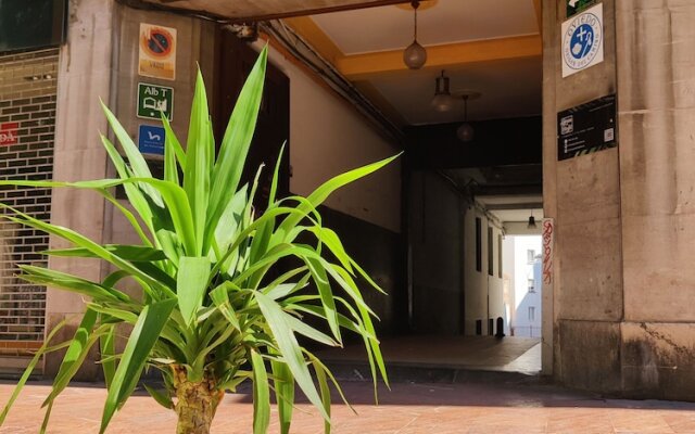 Green Hostel