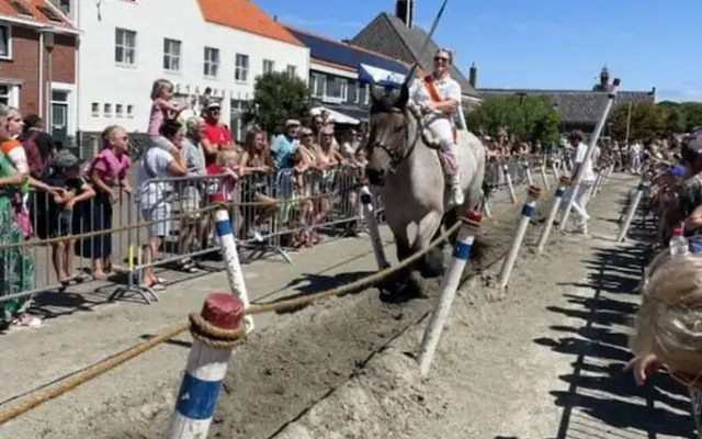 Noordzeeboulevard 51