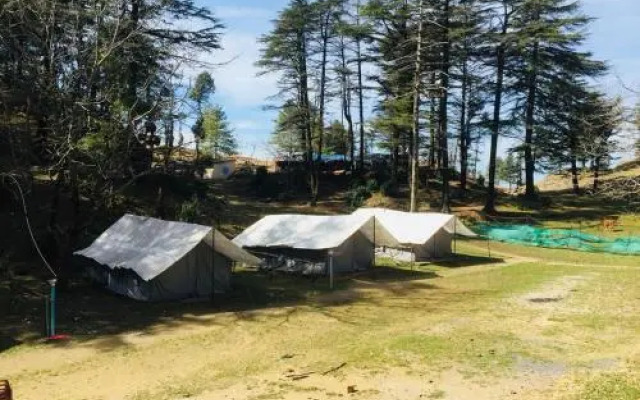 Northern Adventure Camp & Cottages