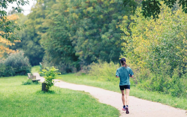 ibis budget Versailles Trappes