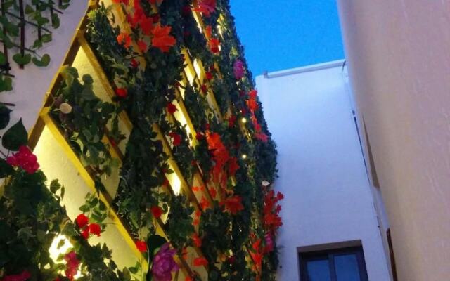 Lucero 12 Marbella Hostal Boutique