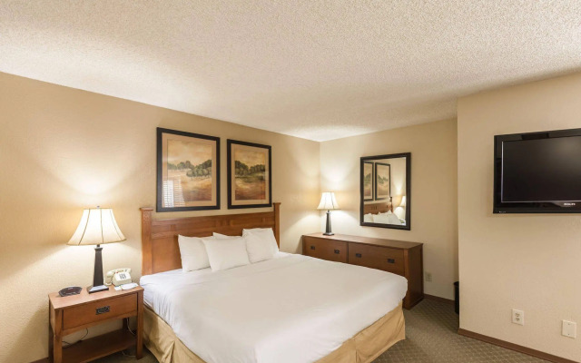 Quality Inn & Suites Plano