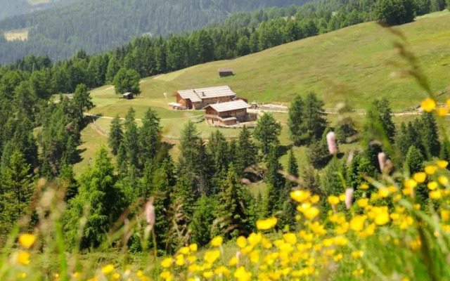 Schutzhütte Kreuzwiese