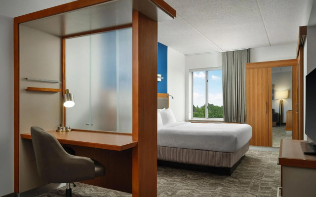 Springhill Suites by Marriott Pittsburgh Mt. Lebanon