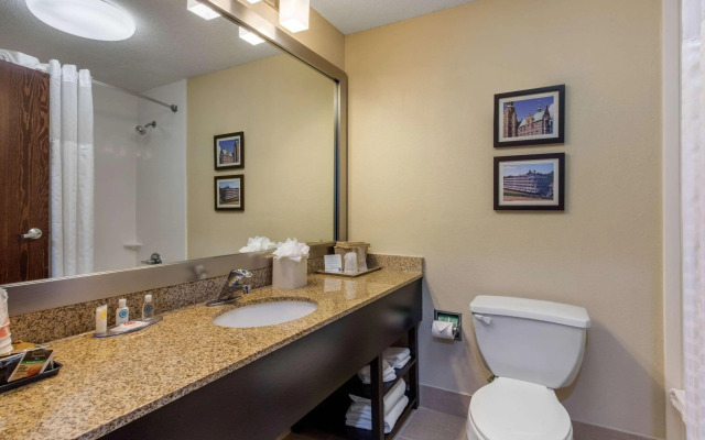 Comfort Inn Horn Lake - Southaven