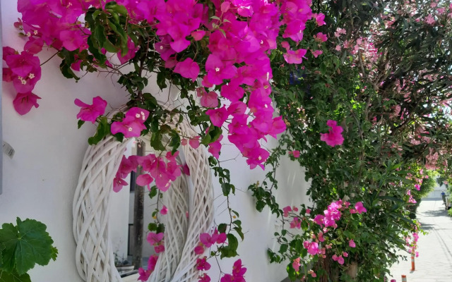 Doron Hotel Delfini