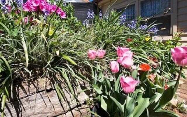 Ballarat Miners Cottages