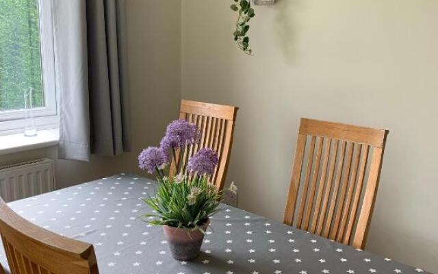 New Forest Chalet