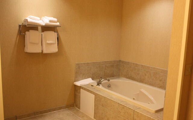 Comfort Inn & Suites Ludlow