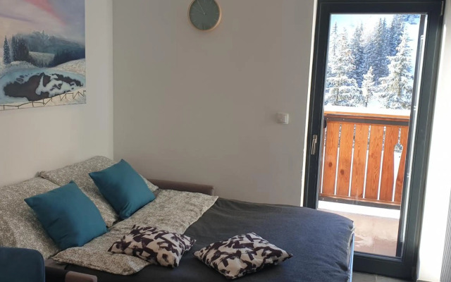 Golte SkiCenter Apartment