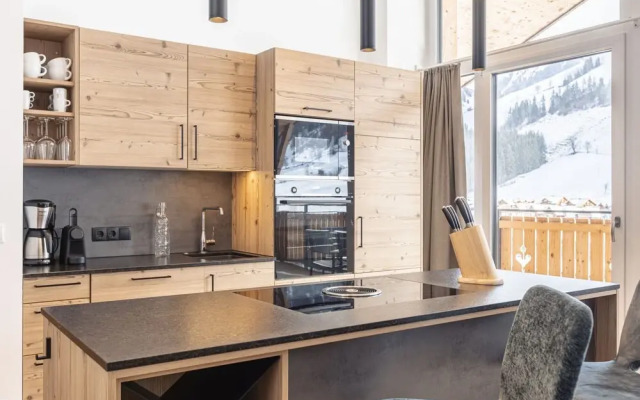 Modern Apartment 100 m From ski Area