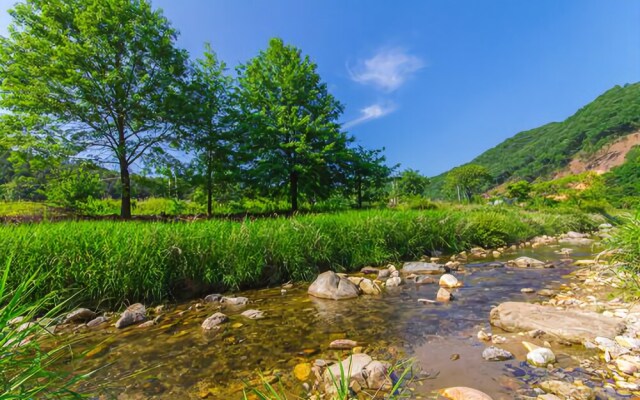 Yangpyeong Anna & Gina Pension