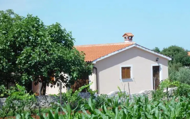 Villa Dorina