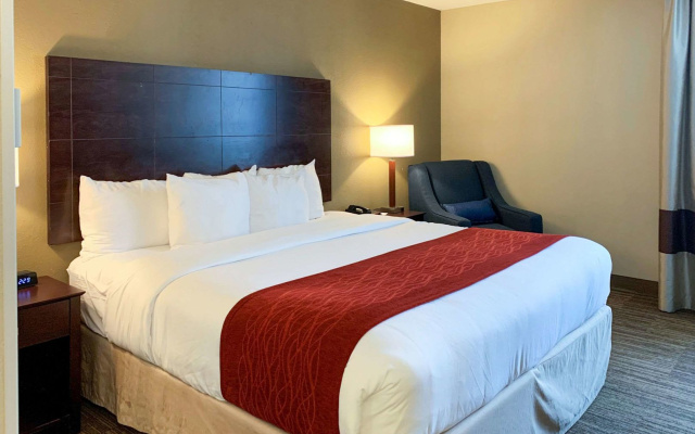 Comfort Inn & Suites East Hartford - Hartford