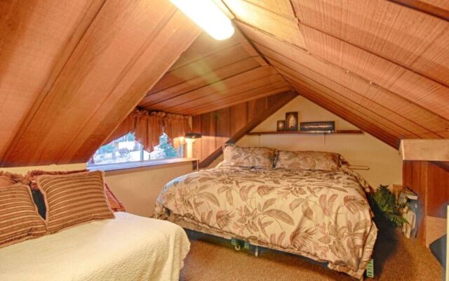 The Bernstein Bear Cabin