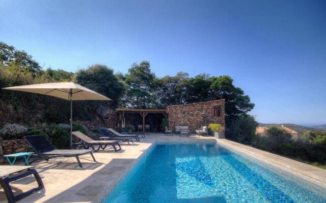 Au pied des oliviers