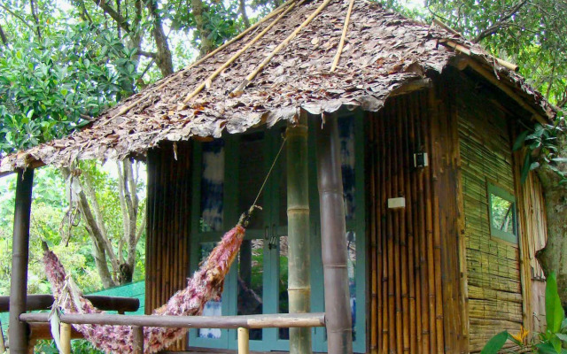 Re - Wild House