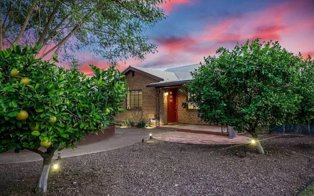 Sun-lit Phoenix Gem: Backyard Entertainment Patio!