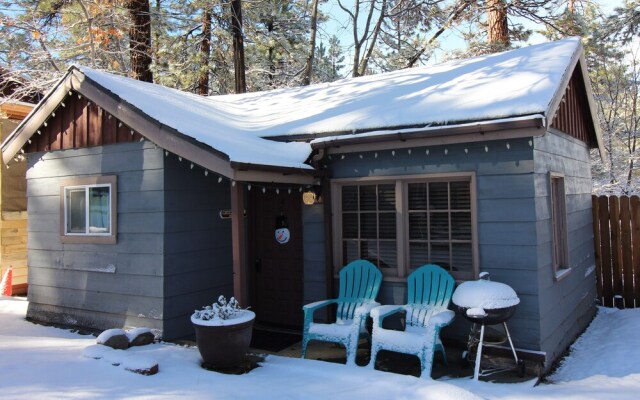 Grizzly Bear - Fox 'n Bear