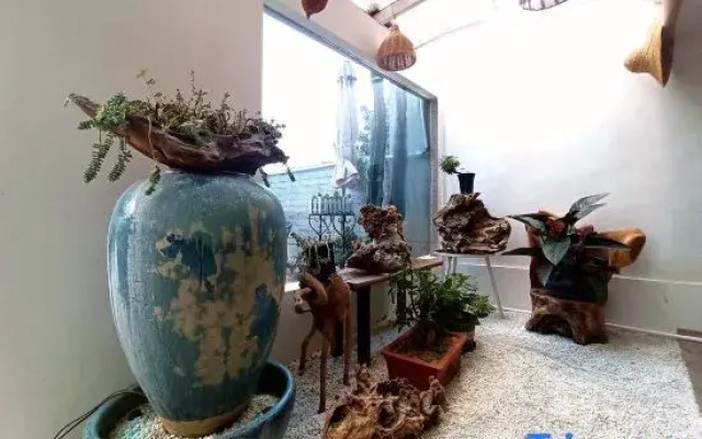 Pig Pig • Shiguang Inn