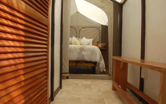 Rhincodon Typus Glamping