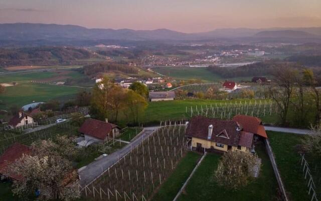 Vineyard Cottage Hocevar