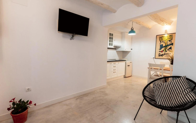 Apartament l'illot