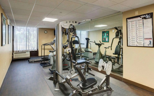 Comfort Inn and Suites Plano East