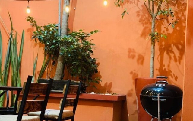 The Reef House Condesa
