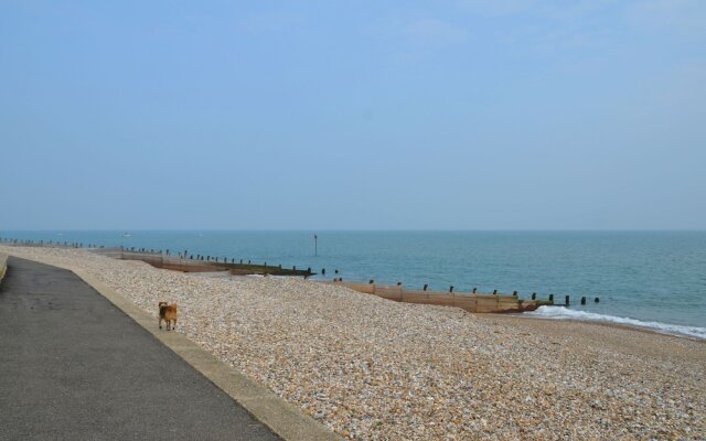 Sea Pinks