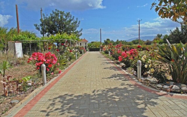 Eliofos Luxury Villa