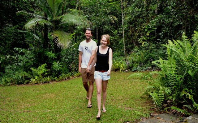 Daintree Deep Forest Lodge