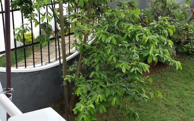 Village Villa Home Stay