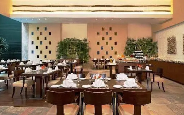 The Imperia