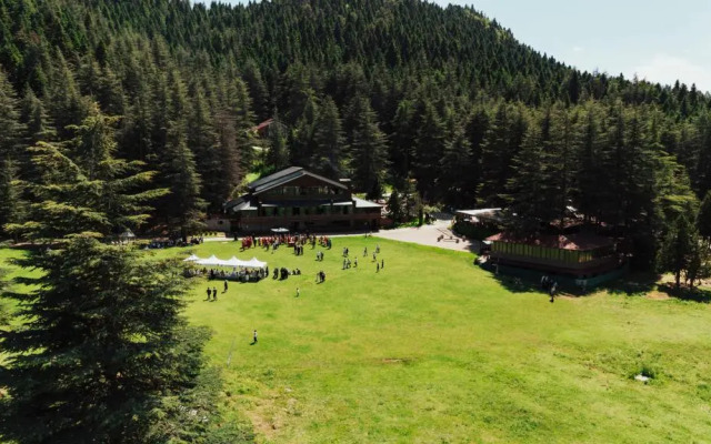 Baskonus Yaylasi Orman Evleri