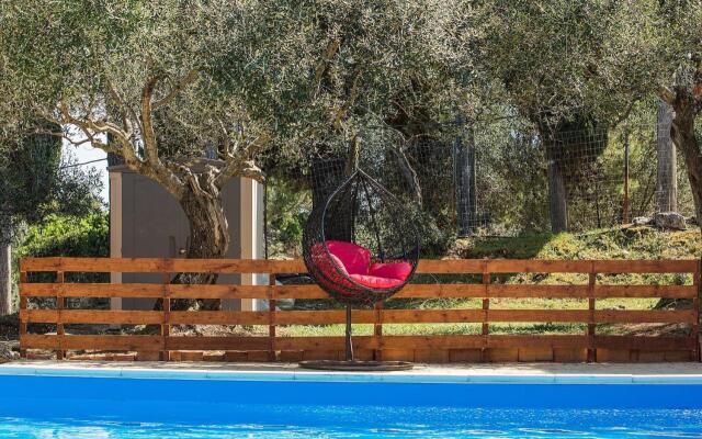 Olive Grove Poolside Apartments