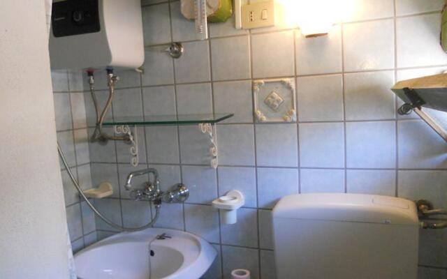 Il nido sotto il tetto