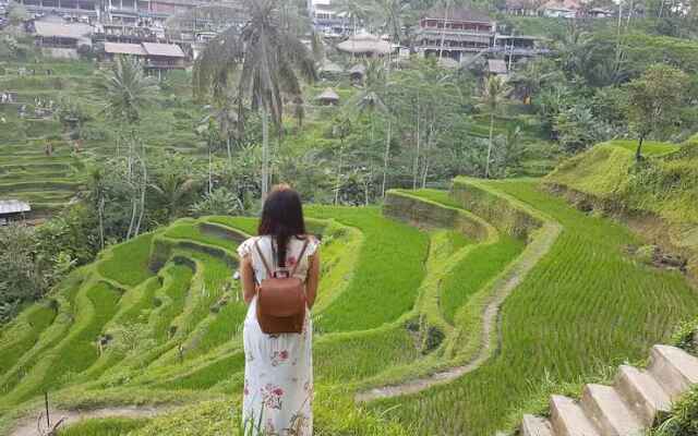 Buda Cottage Ubud