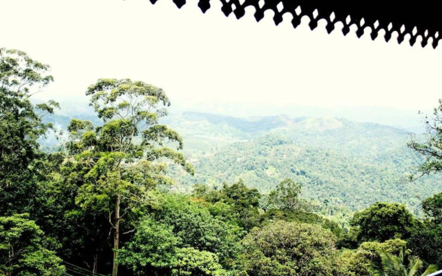 Mist Inn Resort