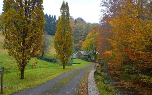 Plush Mill in Vresse-sur-semois With Pool & Sauna