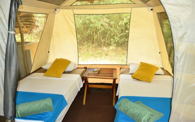 Palpatha Eco Safari Lodge