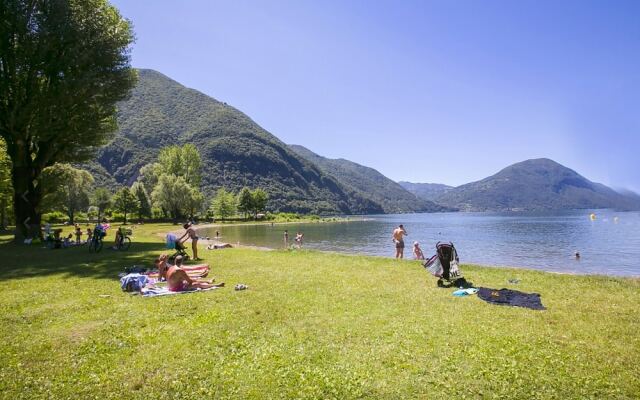 Porto Letizia Begonia 8