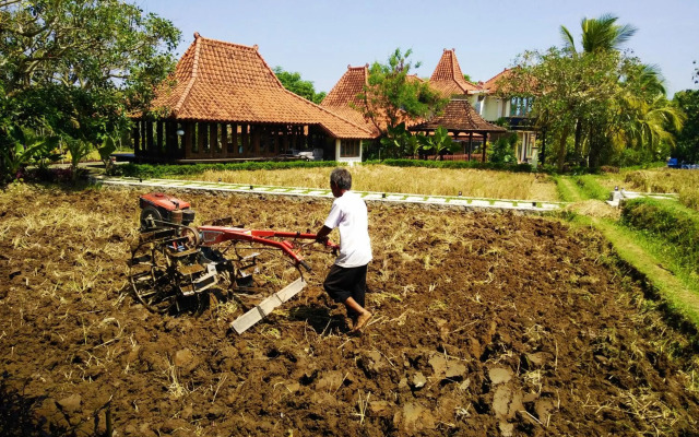 Java Village Resort