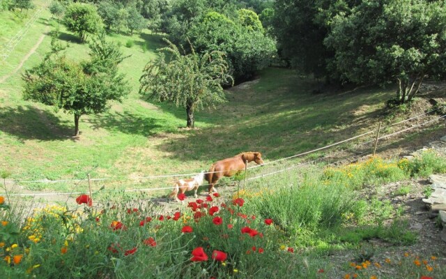 House With 2 Bedrooms in Villardonnel, With Enclosed Garden