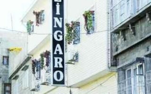 Zingaro