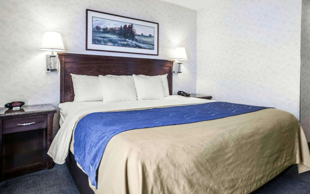 Comfort Inn Bellingham