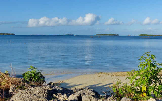 The Friendly Islander (Papiloa's)