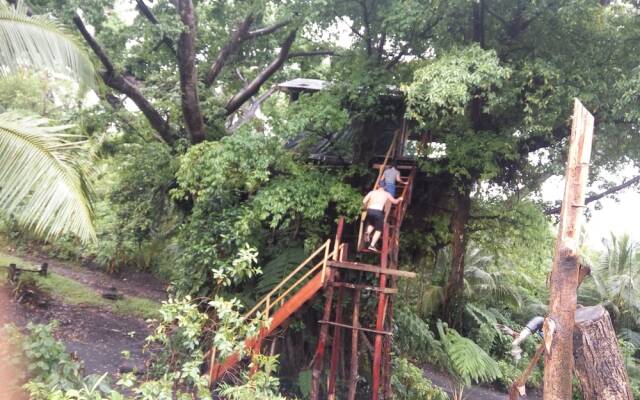 Castle Tree House