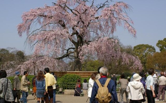 Kyoto Nene House
