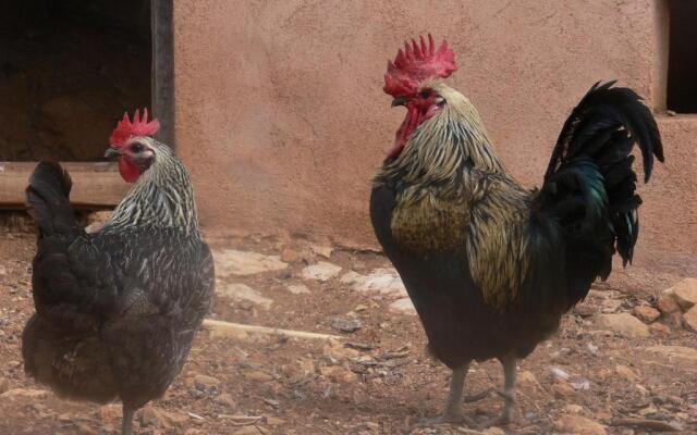 Pou De Beca Allotjaments i agroturisme